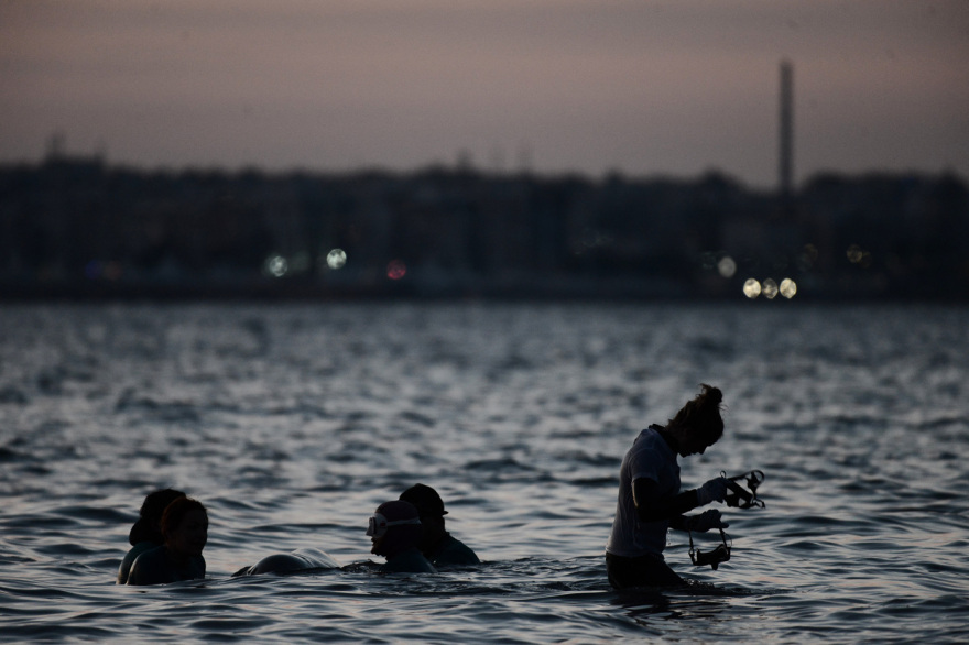 Ολονύχτια προσπάθεια σωτηρίας της μικρής φάλαινας στον Άλιμο, αγωνία για την κατάστασή της