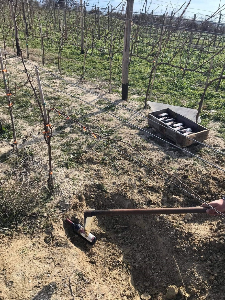 Χαλκιδική: Παλαίωση κρασιού στο έδαφος πραγματοποιεί οινοποιείο