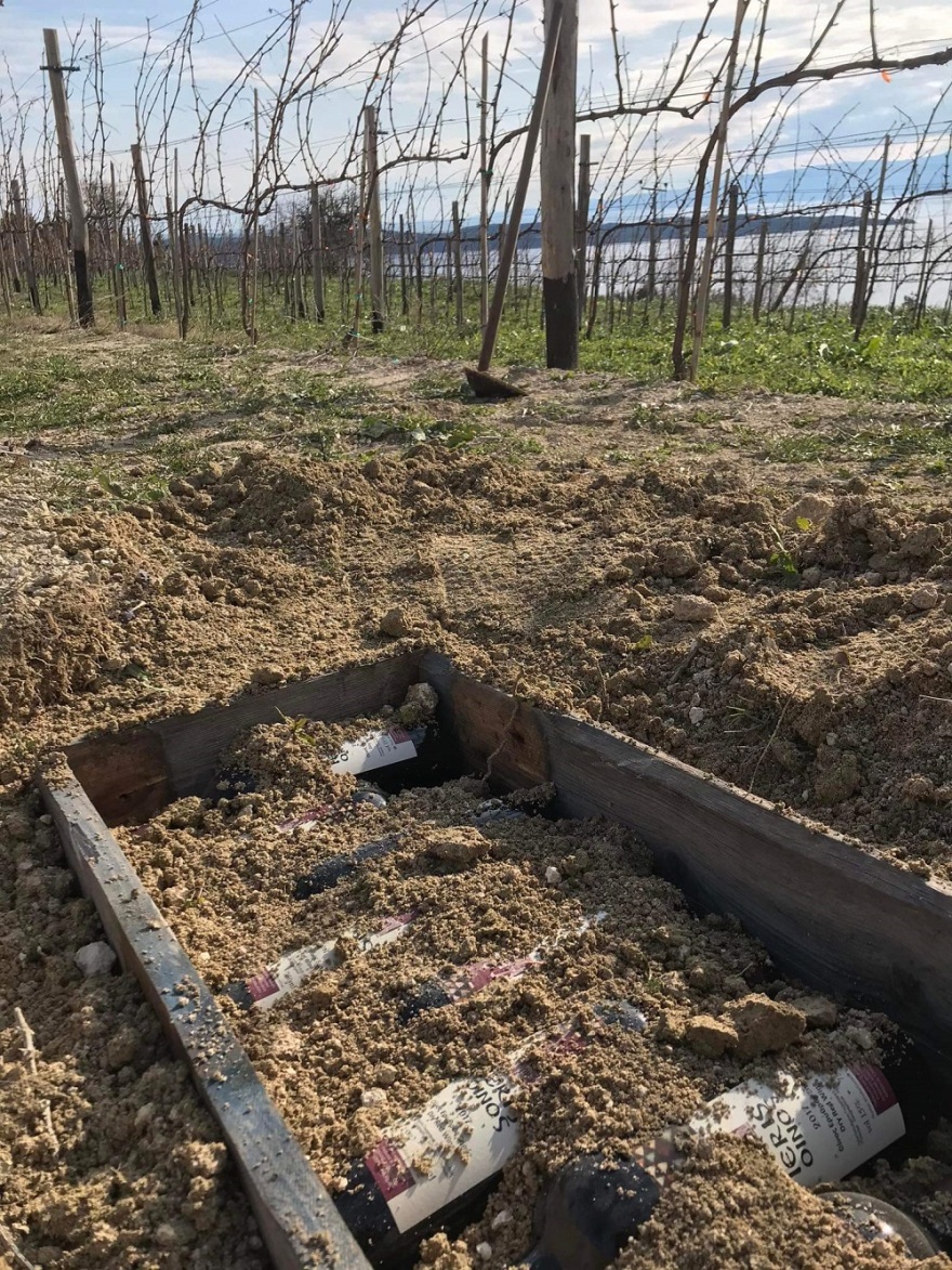 Χαλκιδική: Παλαίωση κρασιού στο έδαφος πραγματοποιεί οινοποιείο