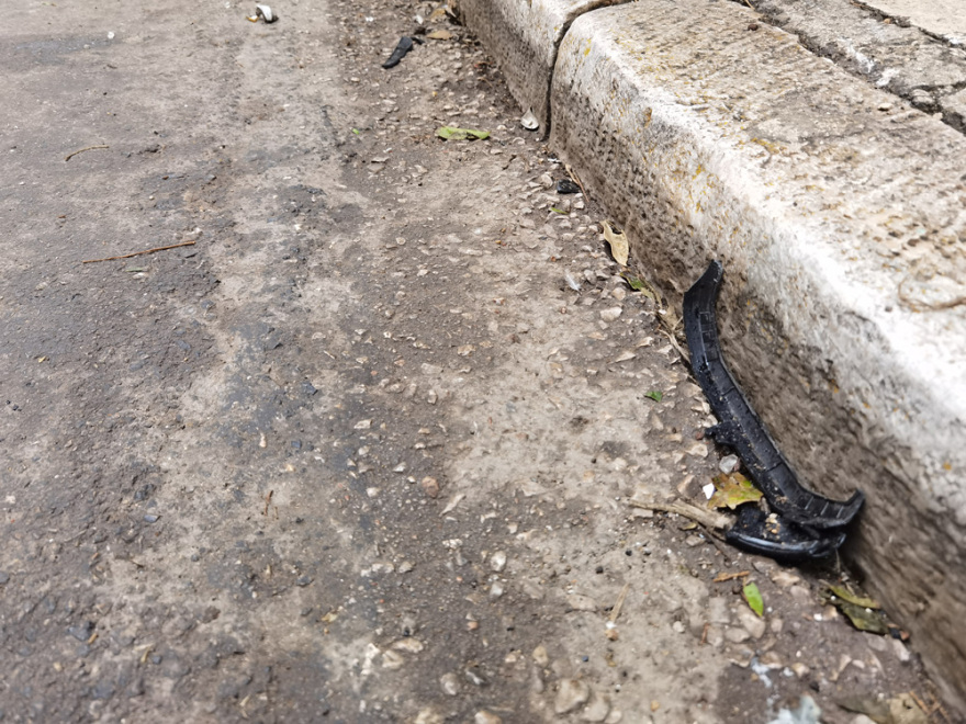 Λίγες ώρες πριν το μοιραίο τροχαίο ο Πάνος Νάτσης γιόρταζε τα γενέθλια φίλης του - Δείτε βίντεο και φωτογραφίες 