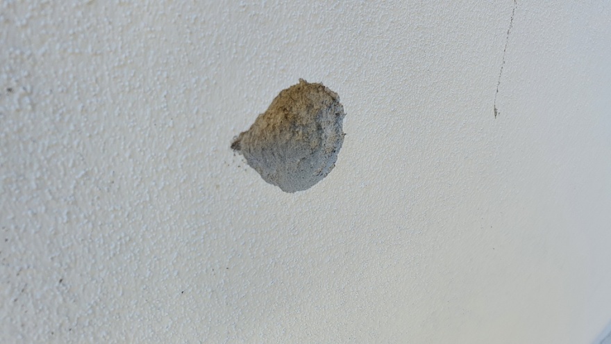 Βόλος: Πυροβολισμοί στο Αλιβέρι από αστυνομικούς που κυνηγούσαν ανήλικο - Ξεσηκωμός στον οικισμό των Ρομά