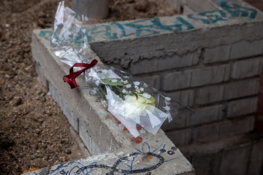 Άλκη, αγόρι μου, συγγνώμη