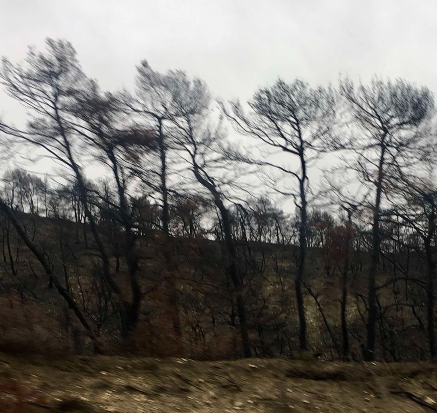 Κλιμάκιο του ΚΙΝΑΛ επισκέφθηκε τη Βόρεια Εύβοια - «Όχι στη ραθυμία της κυβέρνησης για τις πυρόπληκτες περιοχές»