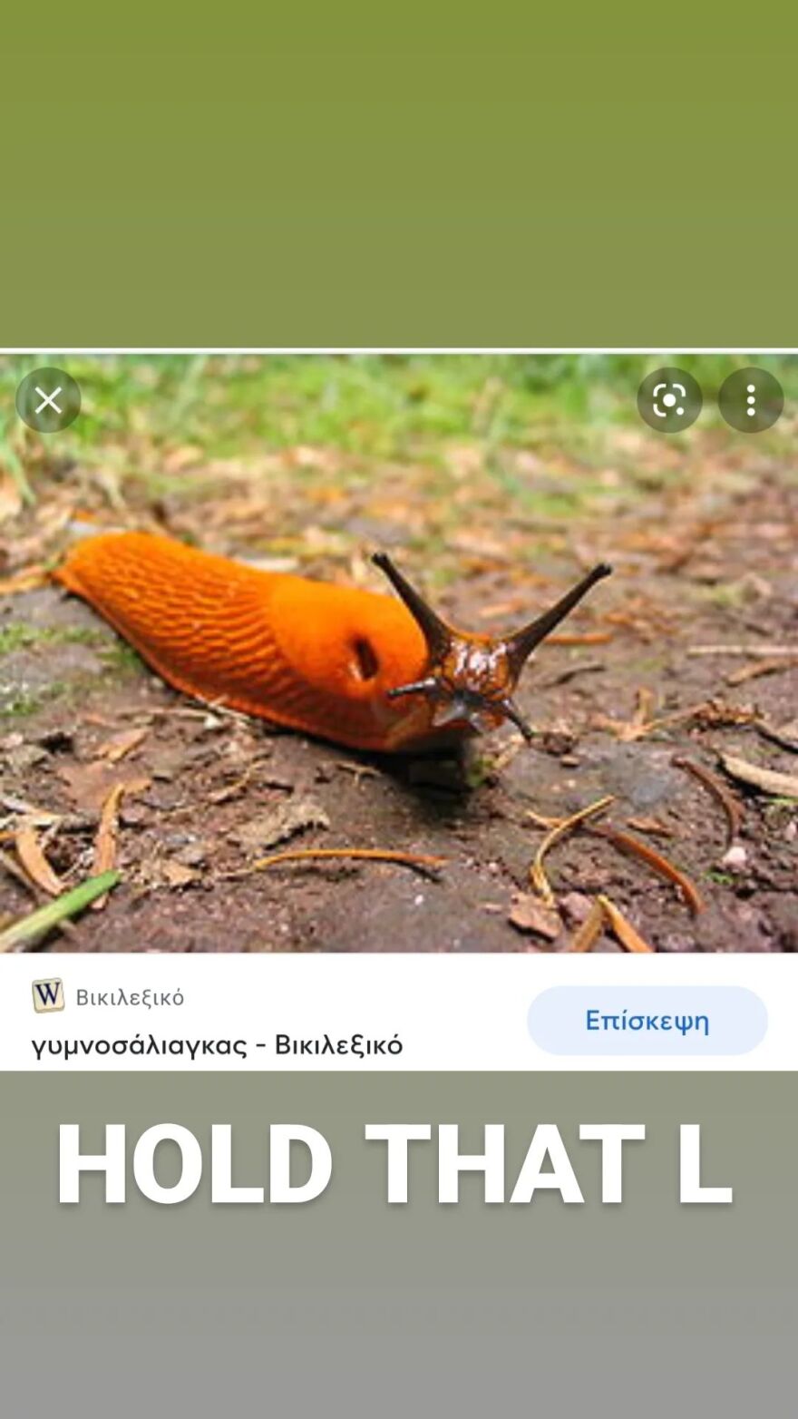 Ο Snik απαντά ειρωνικά στον Λιάγκα : «Ο γυμνοσιάλιαγκας και το 1% παραπάνω τηλεθέαση»