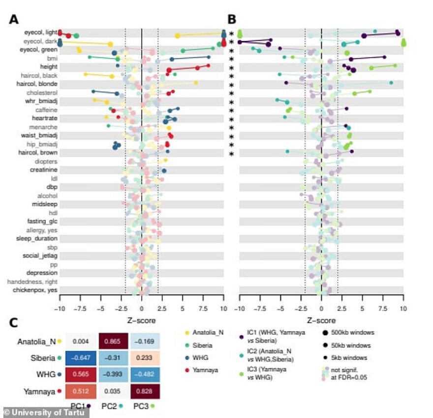 Έρευνα από την Εσθονία: Γιατί οι Ευρωπαίοι είναι ψήλοι; Πού οφείλονται τα ξανθά μαλλιά; Ποιοι μας κληροδότησαν τα γαλανά μάτια;