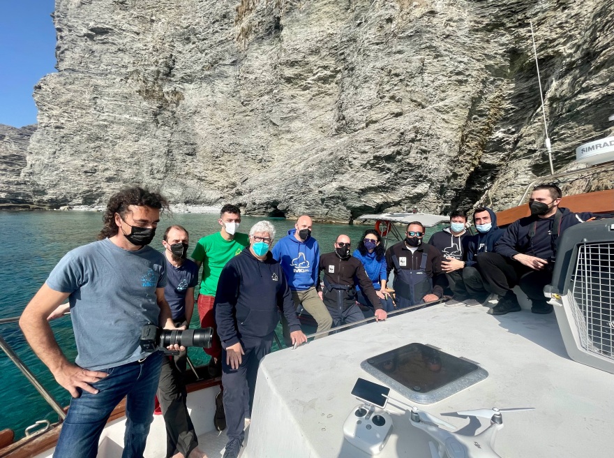 Απελευθερώθηκε στη Γυάρο η «Εύη», η νεαρή μεσογειακή φώκια 