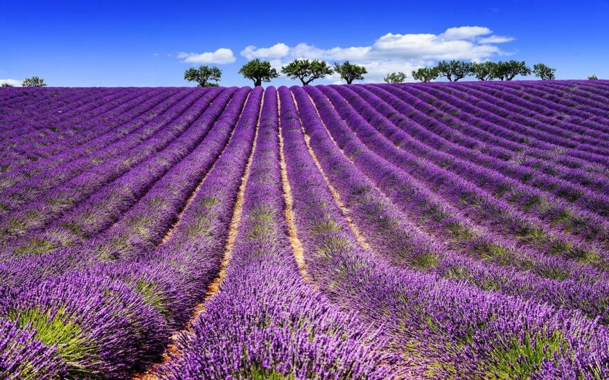 Ετοιμάζουμε βαλίτσες: Αυτοί είναι οι πιο hot προορισμοί για το 2022 στη Γαλλία