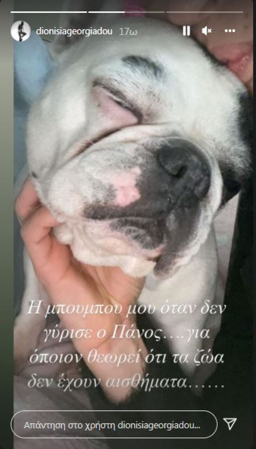 Πάνος Νάτσης: Τα στιγμιότυπα που ανάρτησε η σύντροφος του, Διονυσία