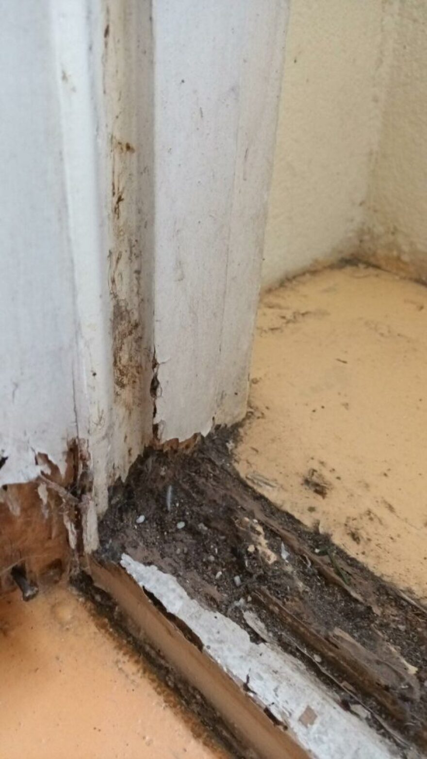 Τρόμος σε σχολείο της Θεσσαλονίκης: Ξηλώθηκε κούφωμα κι έσπασε τζαμαρία σε τάξη