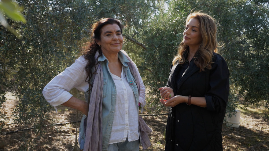 Η Γη της Ελιάς: Οι αλήθειες που «βγαίνουν στο φως» για τον Θεοδόση δεν αρέσουν σε κανέναν