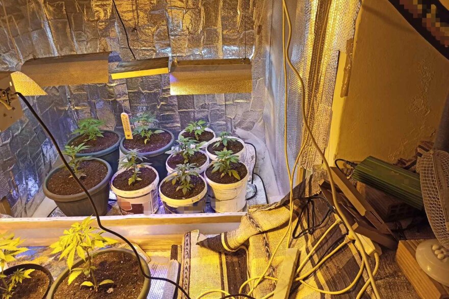 Κάλυμνος: Εκρηκτικά και χασισοφυτεία άνδρας έκρυβε σε υπόγειο