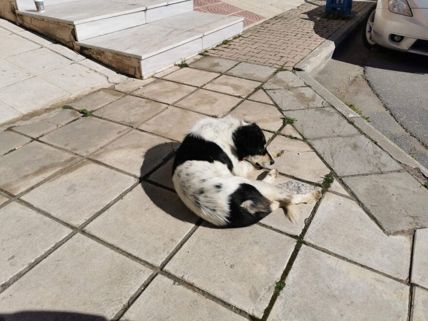 Τραγωδία στη Θεσσαλονίκη: Σήμερα η κηδεία της μάνας και των παιδιών που κάηκαν ζωντανοί