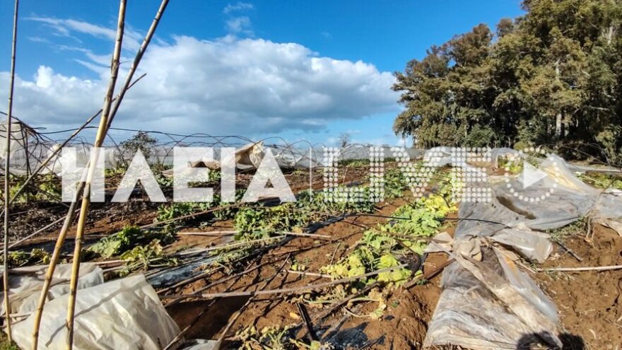 Εικόνες καταστροφής άφησε πίσω του ανεμοστρόβιλος που «χτύπησε» στην Ηλεία (βίντεο)