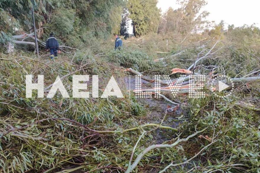 Εικόνες καταστροφής άφησε πίσω του ανεμοστρόβιλος που «χτύπησε» στην Ηλεία (βίντεο)