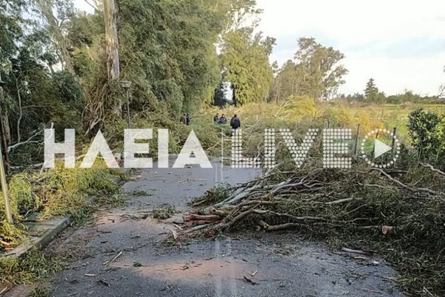 Εικόνες καταστροφής άφησε πίσω του ανεμοστρόβιλος που «χτύπησε» στην Ηλεία (βίντεο)
