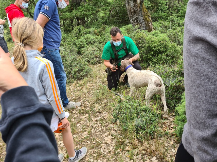 Επιστρέφει το «κυνήγι τρούφας» στα δάση των Μετεώρων 