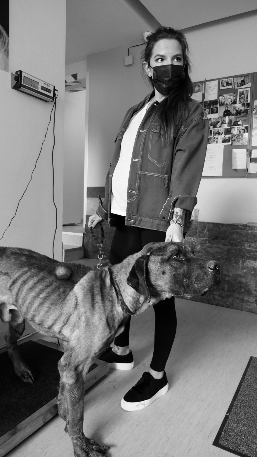 Η εικονική φιλοζωία στη χώρα μας - όλα για το φαίνεσθαι