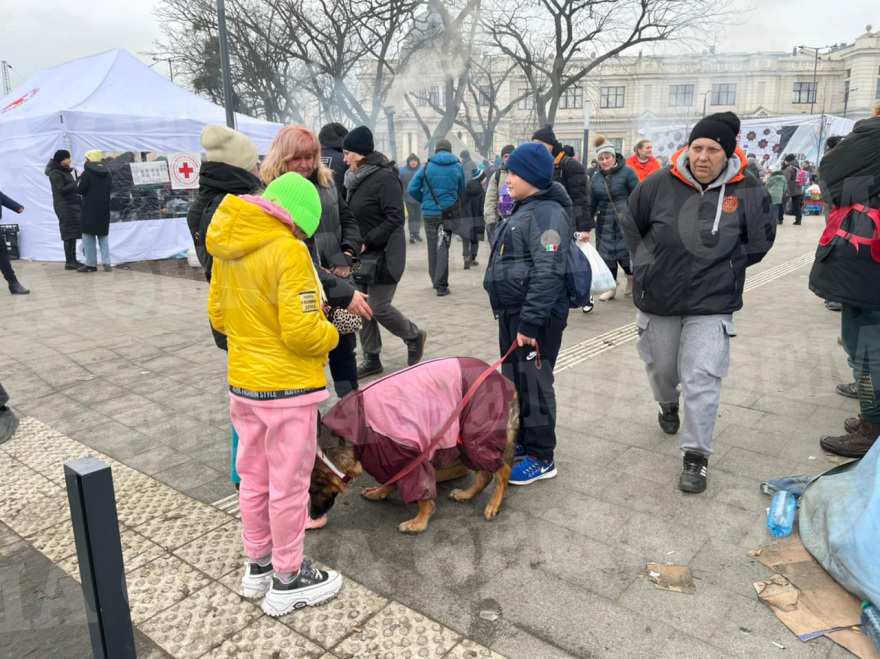 Το protothema.gr στην εμπόλεμη Ουκρανία: Καραβάνια προσφύγων στην πόλη Λβιβ - Συγκλονιστικές εικόνες