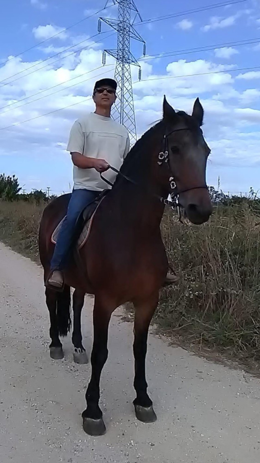 Έγκλημα στην Ανδραβίδα: Αυτός είναι ο 61χρονος που συνελήφθη για το τετραπλό φονικό