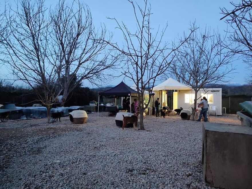 Κυνοκομείο Σπάρτης: Οργανώσεις και εθελοντές μετατρέπουν το «κολαστήριο» σε καταφύγιο  - Δείτε φωτογραφίες