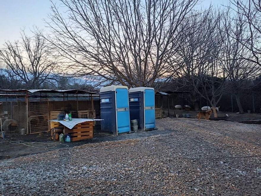 Κυνοκομείο Σπάρτης: Οργανώσεις και εθελοντές μετατρέπουν το «κολαστήριο» σε καταφύγιο  - Δείτε φωτογραφίες