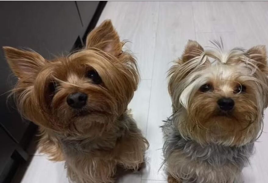 Πόλεμος στην Ουκρανία: Συγκλονίζει ο πατέρας που έχασε γυναίκα και παιδιά στο Ιρπίν - «Συγγνώμη, δεν σας προστάτεψα»