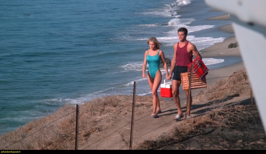 Ο Νταβίντ Σαρβέ από το «Baywatch» παράτησε την υποκριτική και χτίζει σπίτια