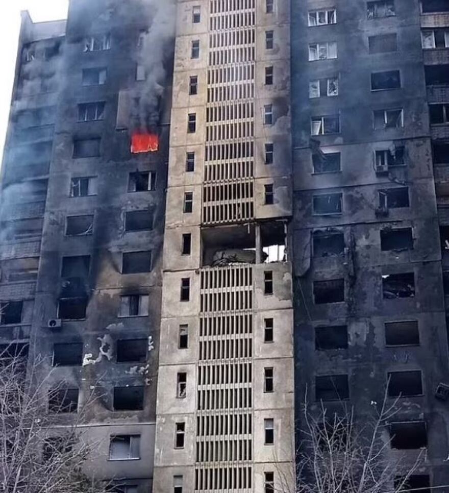 Πόλεμος στην Ουκρανία: Πώς σώθηκε η πιο διάσημη γάτα της χώρας με τους 1 εκατ. ακολούθους στο instagram από το Χάρκοβο