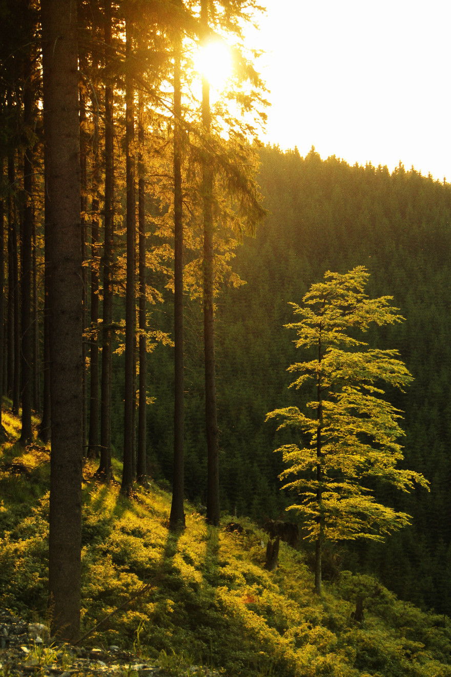 Νερό από την καρδιά της φύσης