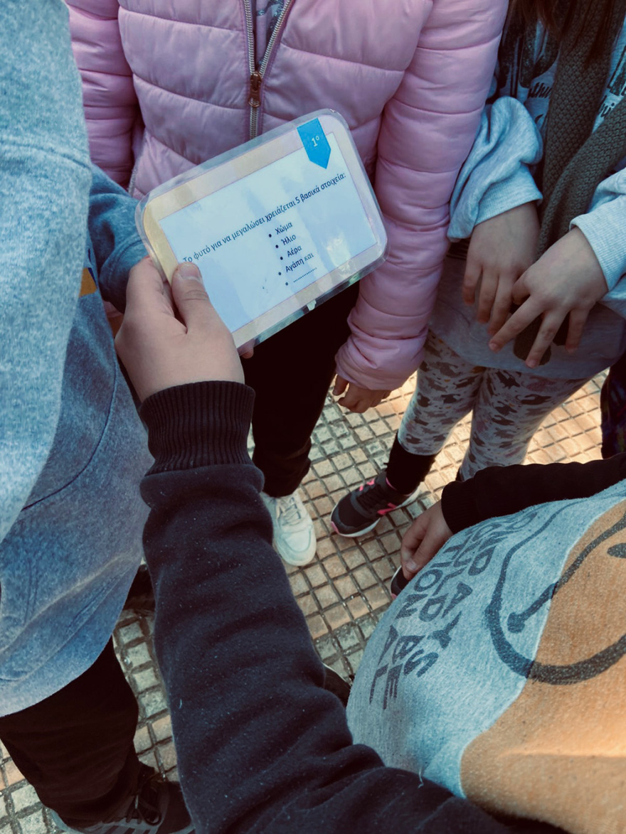 Η Sunlight Group πραγματοποιεί δενδροφυτεύσεις