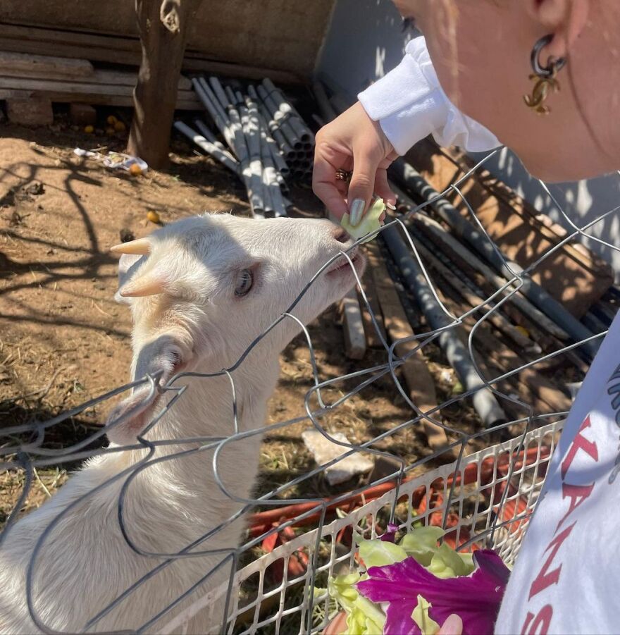 H Ελένη Φουρέιρα πέρασε την αργία της 25ης Μαρτίου στην εξοχή