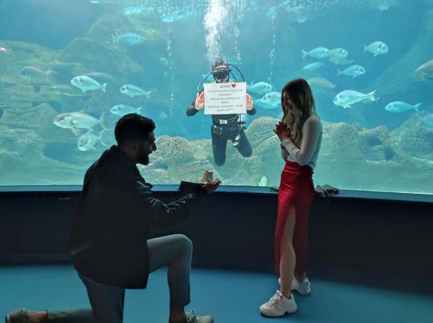 Πρόταση γάμου σε ενυδρείο από τον Πασαλίδη του ΟΦΗ στην αγαπημένη του - Δείτε φωτογραφίες 