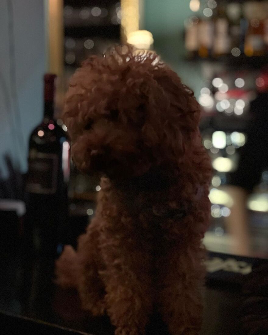 Ελεονώρα Ζουγανέλη: Έτσι απαντά στις φήμες που τη θέλουν να χωρίζει