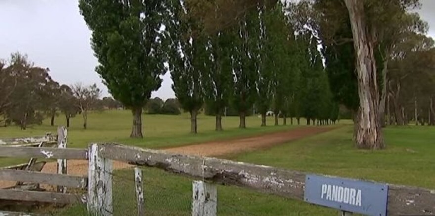 Η Νατάσα Ντάρσι δρούσε με... σχέδιο: «Ψάρευε» εκατομμυριούχους και σχεδίαζε τη δολοφονία τους