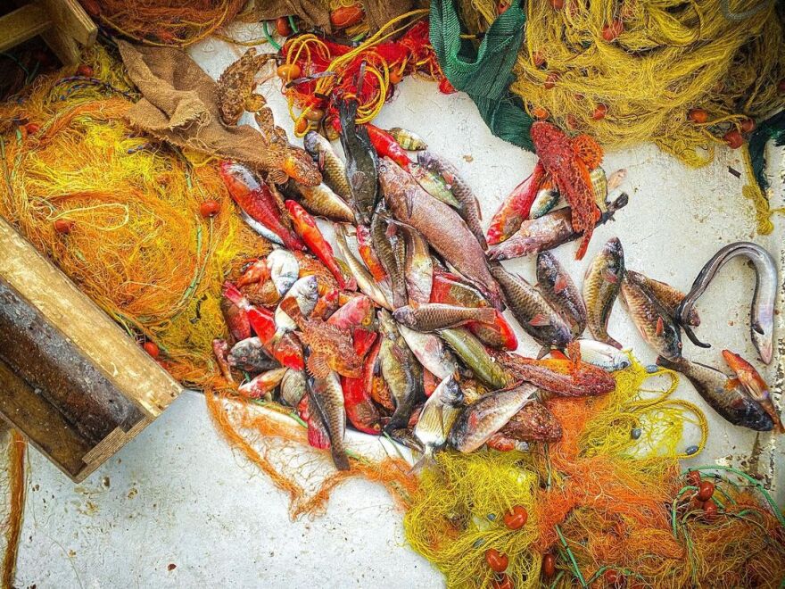 Άγγελος Λάτσιος - Γαία Μερκούρη: Το φωτογραφικό άλμπουμ από το ταξίδι τους στην Άνδρο