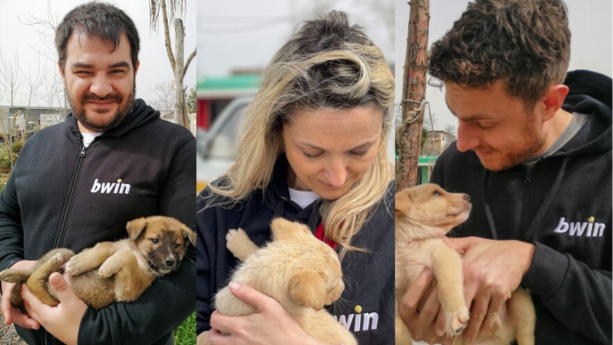 Η ομάδα εθελοντών της bwin στον Χώρο Προσωρινής Φιλοξενίας Αδέσποτων Ζώων του Δήμου Αθηναίων 