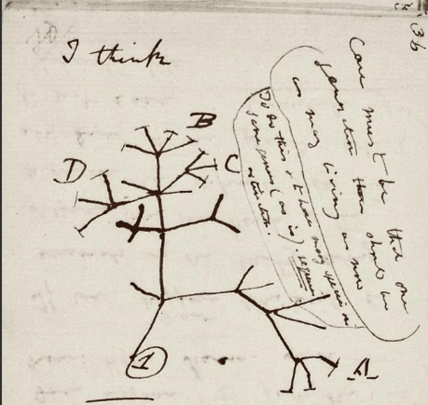 Επιστράφηκαν μυστηριωδώς στο Κέιμπριτζ δύο σημειωματάρια του Δαρβίνου που εξαφανίστηκαν για 20 χρόνια