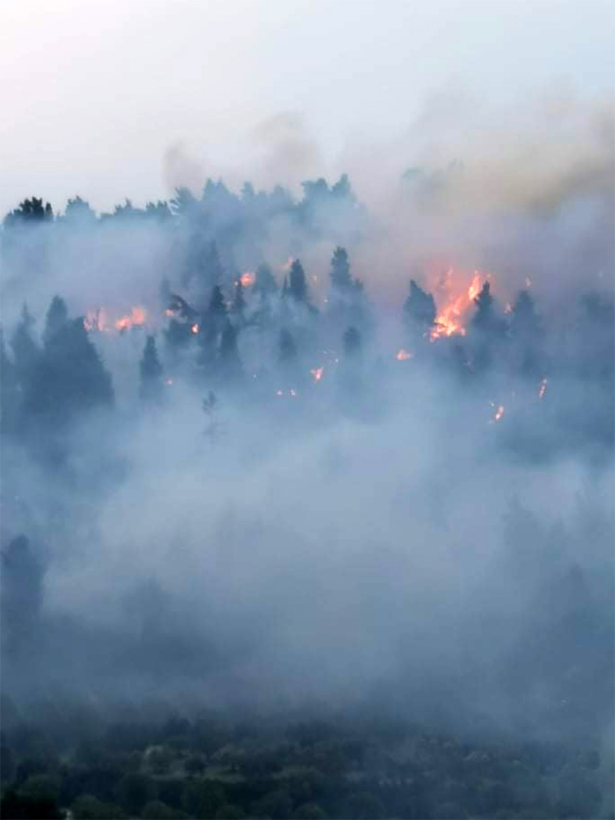 Μαίνεται η φωτιά στην Κασσάνδρα Χαλκιδικής - Μάχη από ξηράς και από αέρος