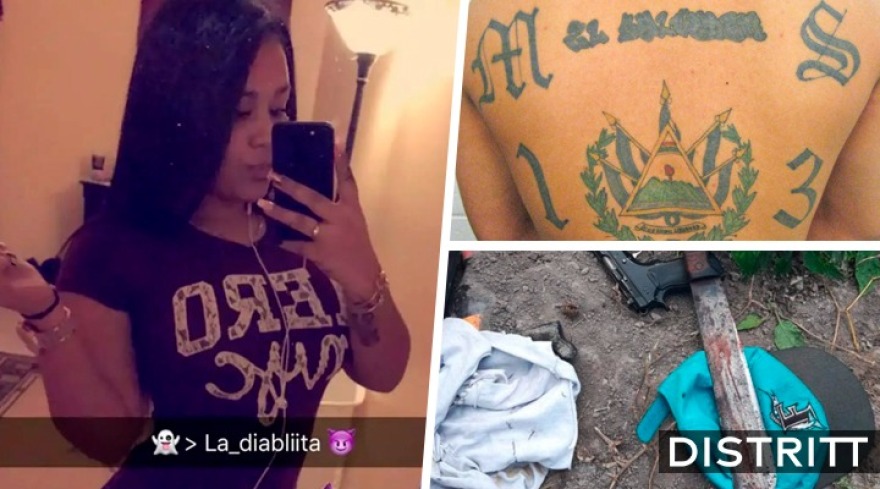 Νέα Υόρκη: Ένοχη για συνεργασία σε τετραπλή δολοφονία κρίθηκε νεαρή, μέλος της συμμορίας MS-13