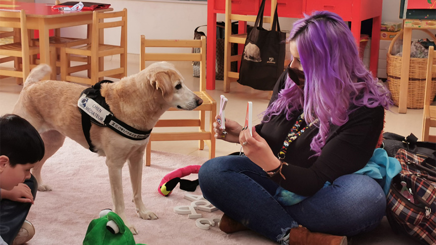 Η ιστορία τριών κακοποιημένων σκύλων που γλίτωσαν τον θάνατο και διδάσκουν σεβασμό στους μαθητές 