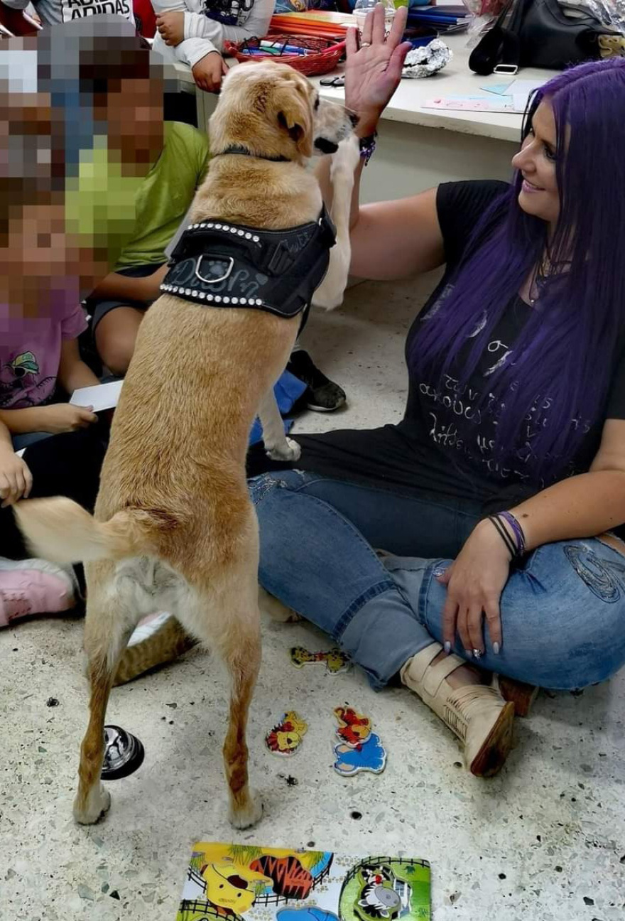 Η ιστορία τριών κακοποιημένων σκύλων που γλίτωσαν τον θάνατο και διδάσκουν σεβασμό στους μαθητές 