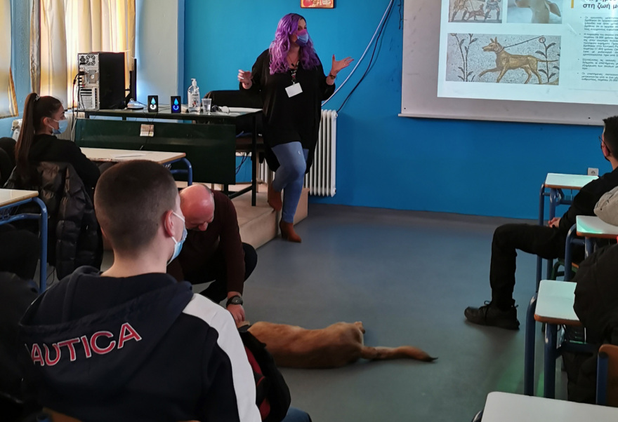 Η ιστορία τριών κακοποιημένων σκύλων που γλίτωσαν τον θάνατο και διδάσκουν σεβασμό στους μαθητές 