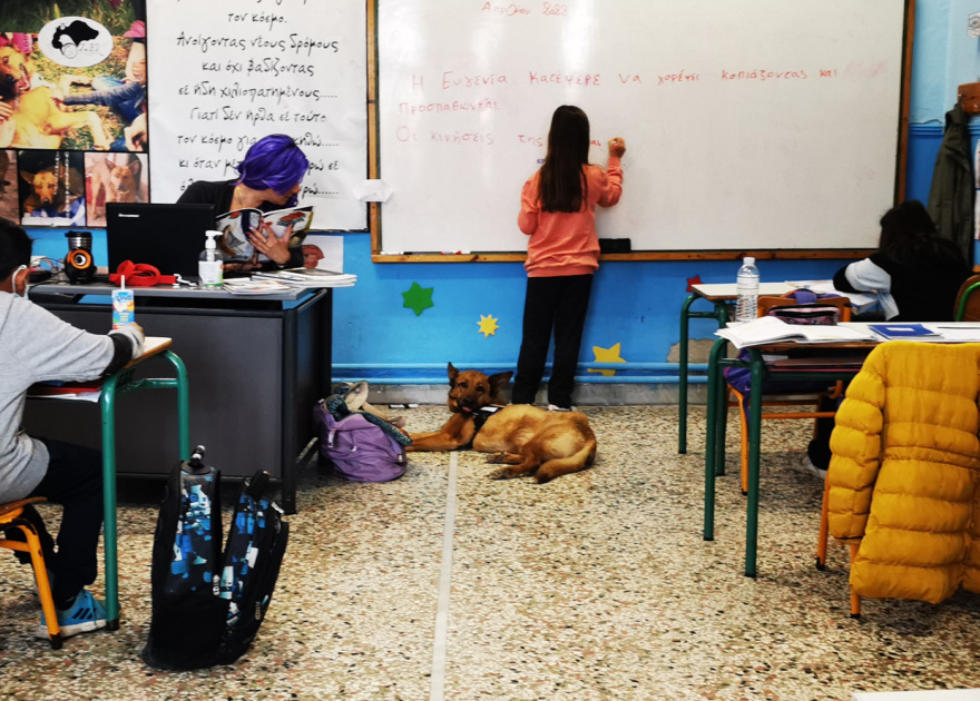 Η ιστορία τριών κακοποιημένων σκύλων που γλίτωσαν τον θάνατο και διδάσκουν σεβασμό στους μαθητές 