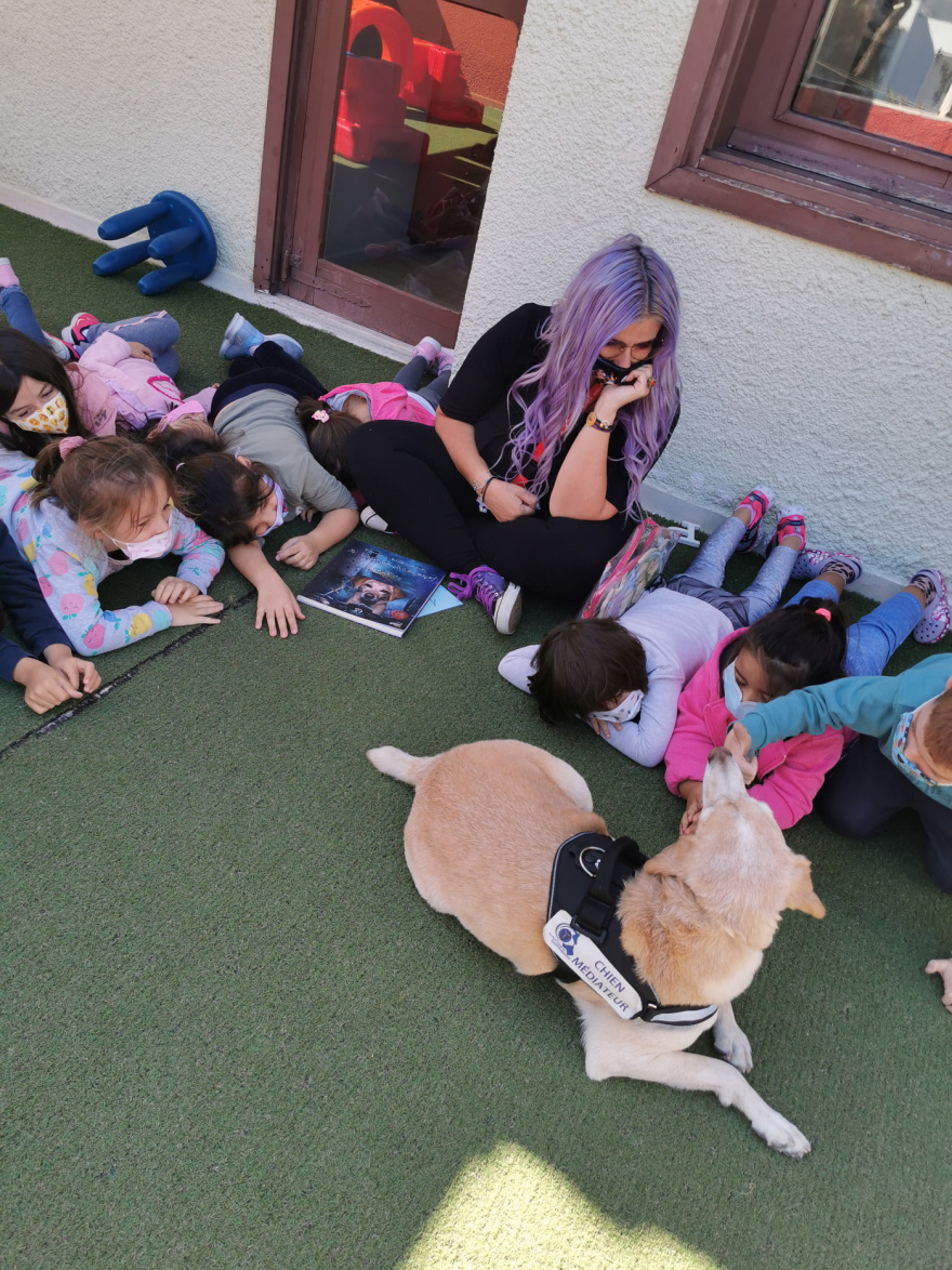 Η ιστορία τριών κακοποιημένων σκύλων που γλίτωσαν τον θάνατο και διδάσκουν σεβασμό στους μαθητές 