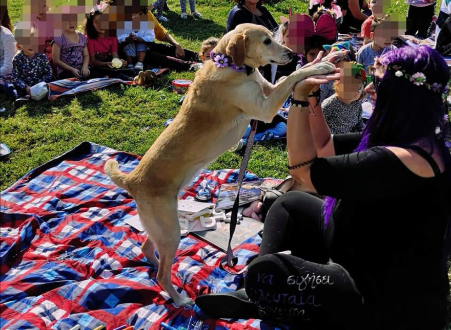 Η ιστορία τριών κακοποιημένων σκύλων που γλίτωσαν τον θάνατο και διδάσκουν σεβασμό στους μαθητές 