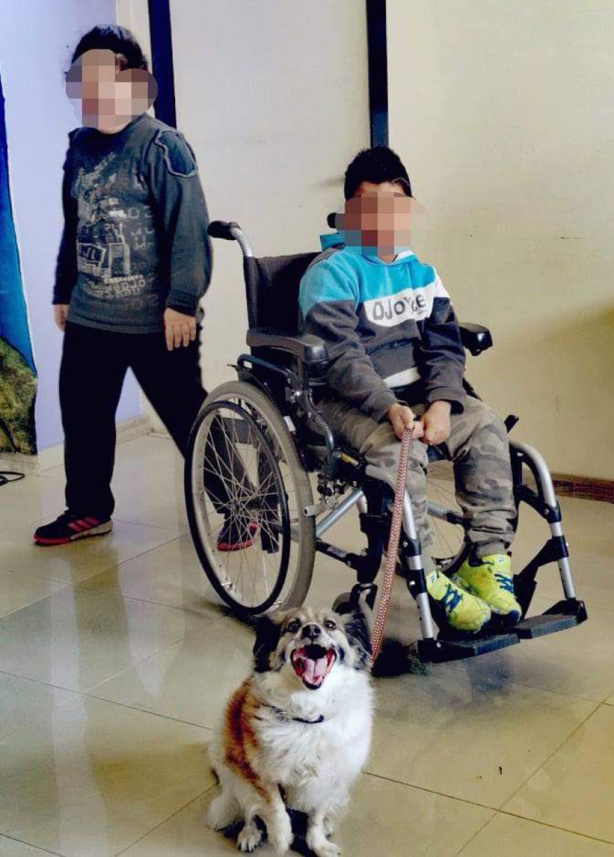 Η ιστορία τριών κακοποιημένων σκύλων που γλίτωσαν τον θάνατο και διδάσκουν σεβασμό στους μαθητές 