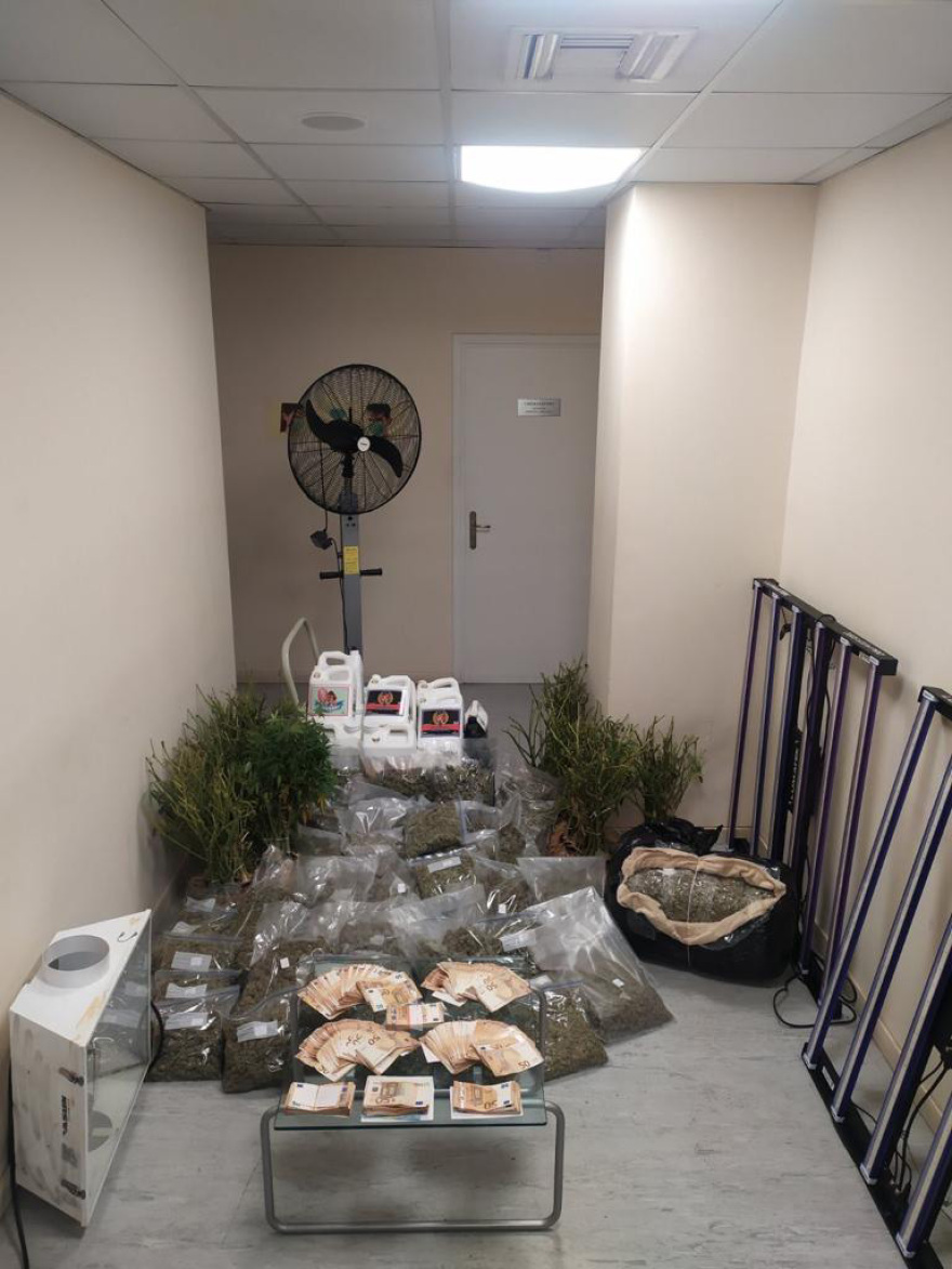 Άγιοι Ανάργυροι: Φυτεία κάνναβης με 106 δενδρύλλια διατηρούσε στο σπίτι του ένας 38χρονος