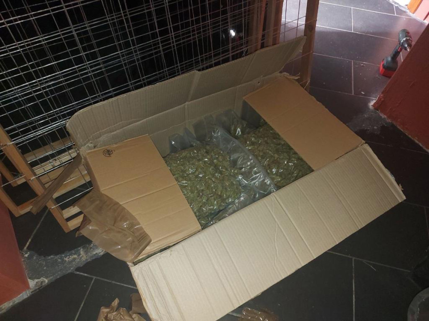 Άγιοι Ανάργυροι: Φυτεία κάνναβης με 106 δενδρύλλια διατηρούσε στο σπίτι του ένας 38χρονος