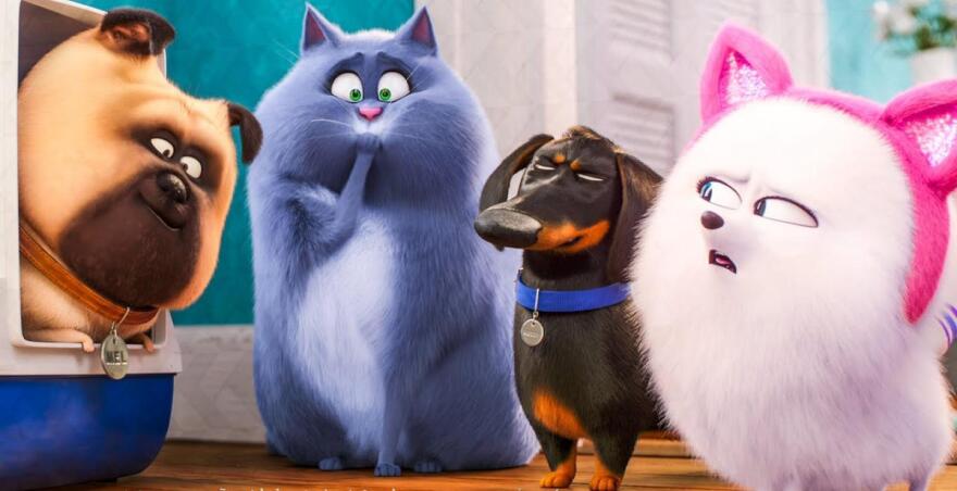 Star: Δύο ξεκαρδιστικές ταινίες, για μικρούς και μεγάλους