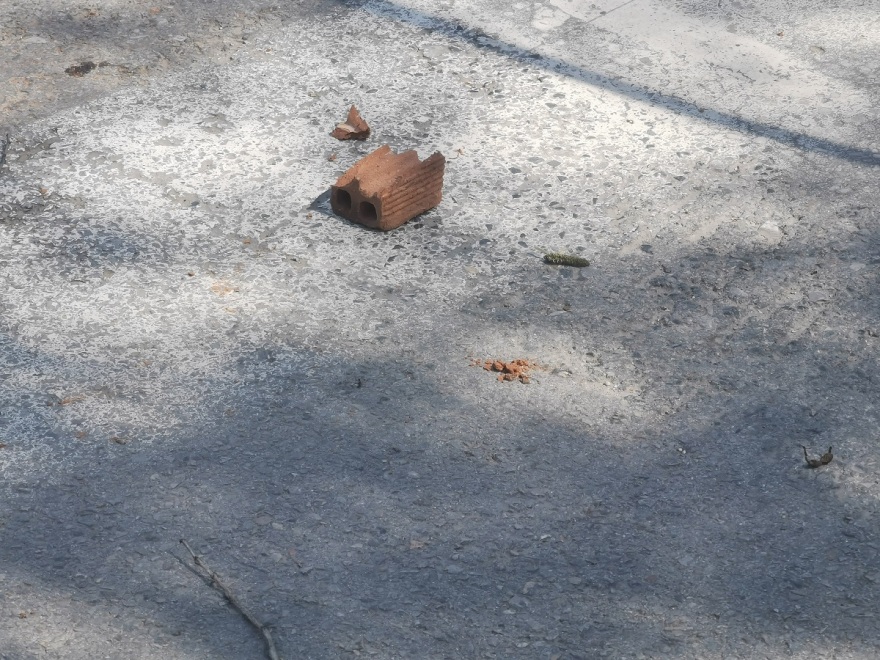 Θεσσαλονίκη: Δύο συλλήψεις για τα σοβαρά επεισόδια στο ΑΠΘ